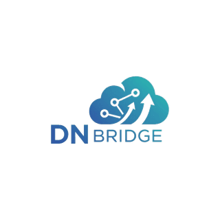 DN Bridge - Software Factory